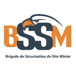 Logo BSSM